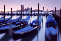 Moored Gondolas in Venice von Martin Williams