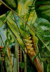 Heliconia 2 by Marie Luise Strohmenger