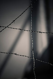 Barbed wires and shadows by Lars Hallstrom
