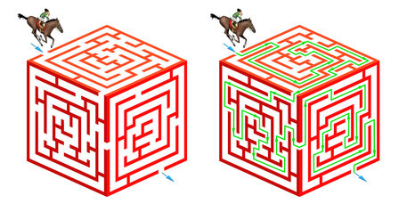 Horseriding-cubic-maze