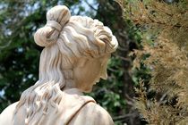 Venus And The Trees by rainbowsculptors