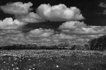 Frühling in Schwarzweiß - Spring in Black and White by ropo13