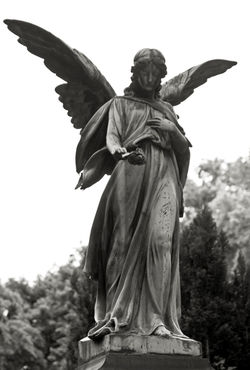 Engel-mit-rose-sophienfriedhof-berlin-mitte