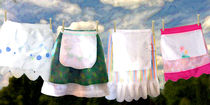 Life of a Homemaker, a story of Aprons von Alma  Lee