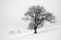 Winter Scene von Martin Williams
