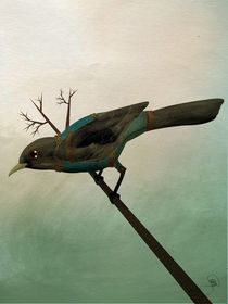 Sparrow von Antonio Rodrigues Jr