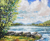 Lough Lannagh Castlebar County Mayo by Conor McGuire