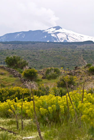 Natur-reservat-vulkan-etna-sizilien-italien