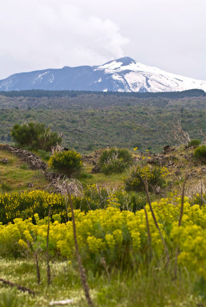 Natur-reservat-vulkan-etna-sizilien-italien