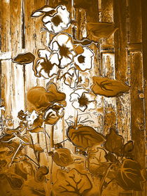 Rustikales Blumenflair(2) von Heidrun Carola Herrmann