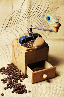 Kaffeemühle Coffee Mill von Falko Follert