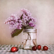 cherries and lilac by Priska  Wettstein