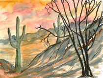 arizona evening by Derek McCrea