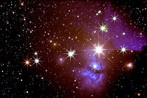 Pferdekopfnebel - Horsehead Nebula by virgo