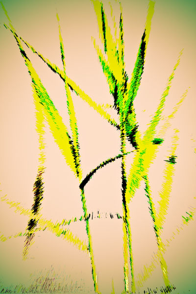 Reed-art-5-vibrant-hi