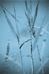 Water Reed Digital Art von David Pyatt