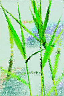 Water Reed Digital Art by David Pyatt