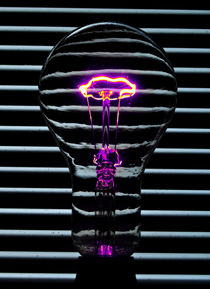 Purple Bulb by Rob Hawkins