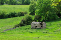 Derelict Stone Barn, Yorkshire Dales von Louise Heusinkveld