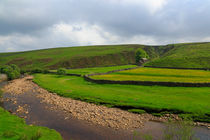 Swaledale, the River and a Meadow von Louise Heusinkveld