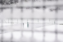 Snow Tennis I by Tom Hanslien