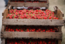 boxed strawberries by Dave Milnes