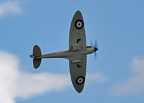 Spitfire von John Biggadike