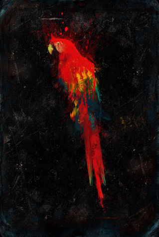 Scarlet-macaw-black