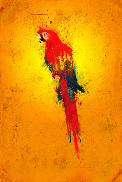 Scarlet-macaw-gold