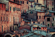 Tuscanian Town by David Pinzer