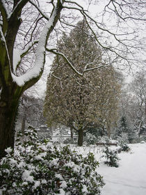 Winter im Bethmannpark by lorenzo-fp