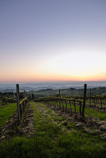 Vineyard Sunrise von Russell Bevan Photography