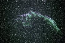 Cirrusnebel - NGC 6995 - Veil Nebula