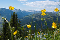 Alps in Summer von Iryna Mathes