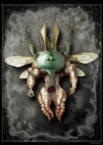 Der Staat der Insekten_Insekt 2 by Carsten Gude