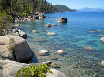 Forested Shores Of Lake Tahoe by Frank Wilson