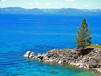 Lake Tahoe Rocky Point by Frank Wilson