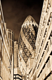 The Gherkin London von David Pyatt