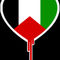 Palestine-bleeding-heart-tee-design