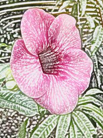 Graphic pink bloom by Nandan Nagwekar