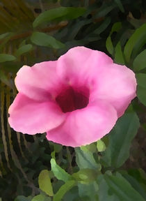 Pink bloom von Nandan Nagwekar