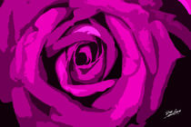 Pink Rose Signed von Jeff Pierson