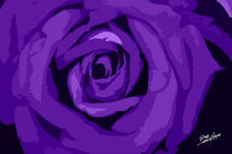 Purple Rose Signed by Jeff Pierson
