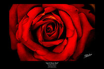 April Rose Red von Jeff Pierson