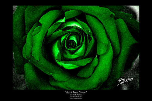 Finished-april-rose-green-36x24-compressed