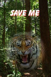 Poster Save Tiger by Nandan Nagwekar