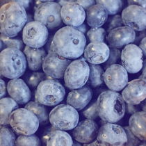 Vintage Blueberries von syoung-photography