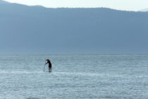 Lone Paddle Boarder by John Mitchell