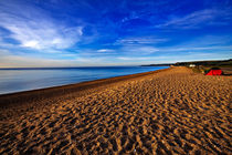 Slapton Sands at Dawn by Louise Heusinkveld