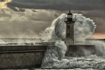Facing the storm by Tiago Pinheiro